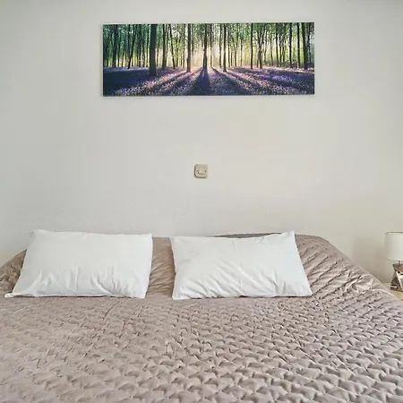 Irena Guest house 3*