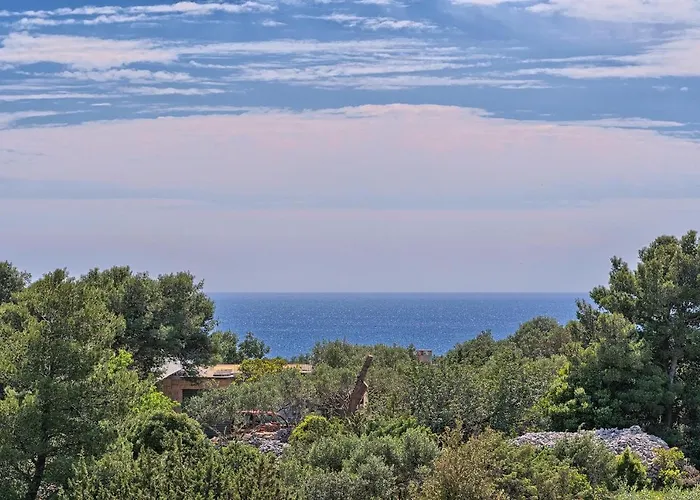 Irena Guest house 3*