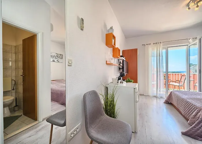 Irena Guest house 3*