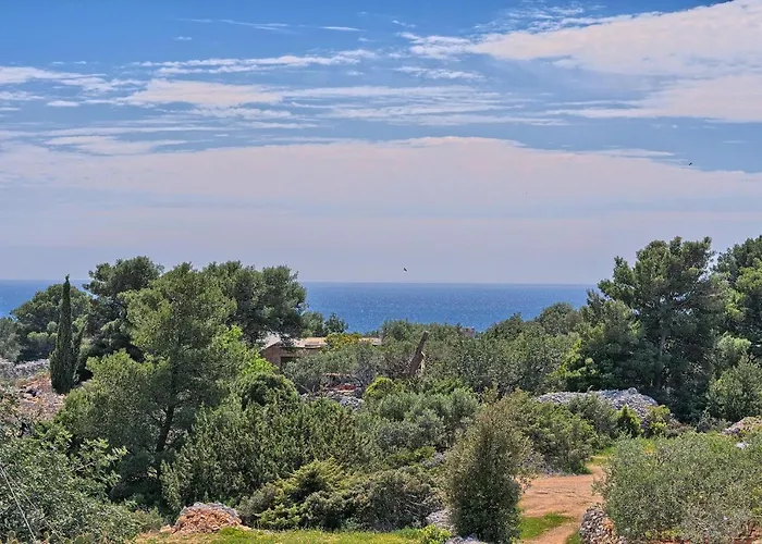 Irena Affittacamere 3*